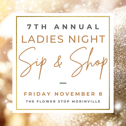 Ladies Night Sip & Shop