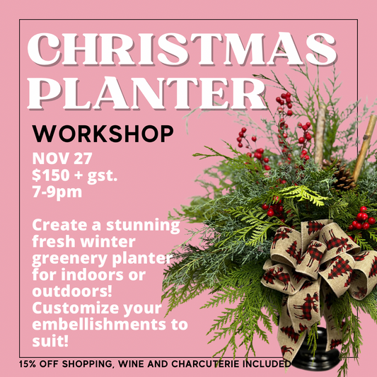 Christmas Planter Workshop - Nov 27
